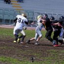 2016 - Navy Seals Bari Vs Lecce South Tigers =  8-22