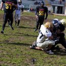 2016 - Navy Seals Bari Vs Lecce South Tigers =  8-22