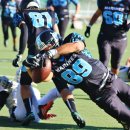 2016 - Marines Lazio Vs Navy Seals Bari - Under 19  = 52 - 0