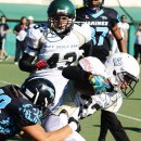 2016 - Marines Lazio Vs Navy Seals Bari - Under 19  = 52 - 0