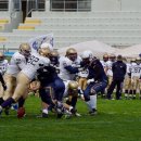 2018 - Navy Seals Bari Vs Briganti Napoli = 14-21