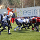 2020 - CSI - Navy Seals Bari vs Wildcats Cremona = 51-0