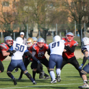 2020 - CSI - Navy Seals Bari vs Wildcats Cremona = 51-0