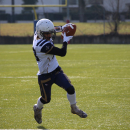 2020 - CSI - Navy Seals Bari vs Wildcats Cremona = 51-0