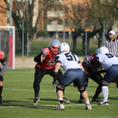 2020 - CSI - Navy Seals Bari vs Wildcats Cremona = 51-0