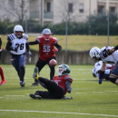 2020 - CSI - Navy Seals Bari vs Wildcats Cremona = 51-0