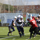 2020 - CSI - Navy Seals Bari vs Wildcats Cremona = 51-0