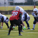 2020 - CSI - Navy Seals Bari vs Wildcats Cremona = 51-0