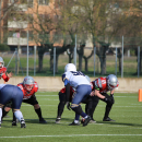 2020 - CSI - Navy Seals Bari vs Wildcats Cremona = 51-0