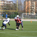 2020 - CSI - Navy Seals Bari vs Wildcats Cremona = 51-0