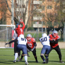 2020 - CSI - Navy Seals Bari vs Wildcats Cremona = 51-0