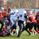 2020 - CSI - Navy Seals Bari vs Wildcats Cremona = 51-0